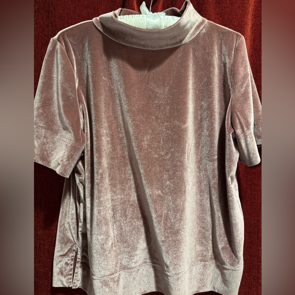Anthropologie Velvet Mock Turtleneck Short Sleeve Top in Blush Rose